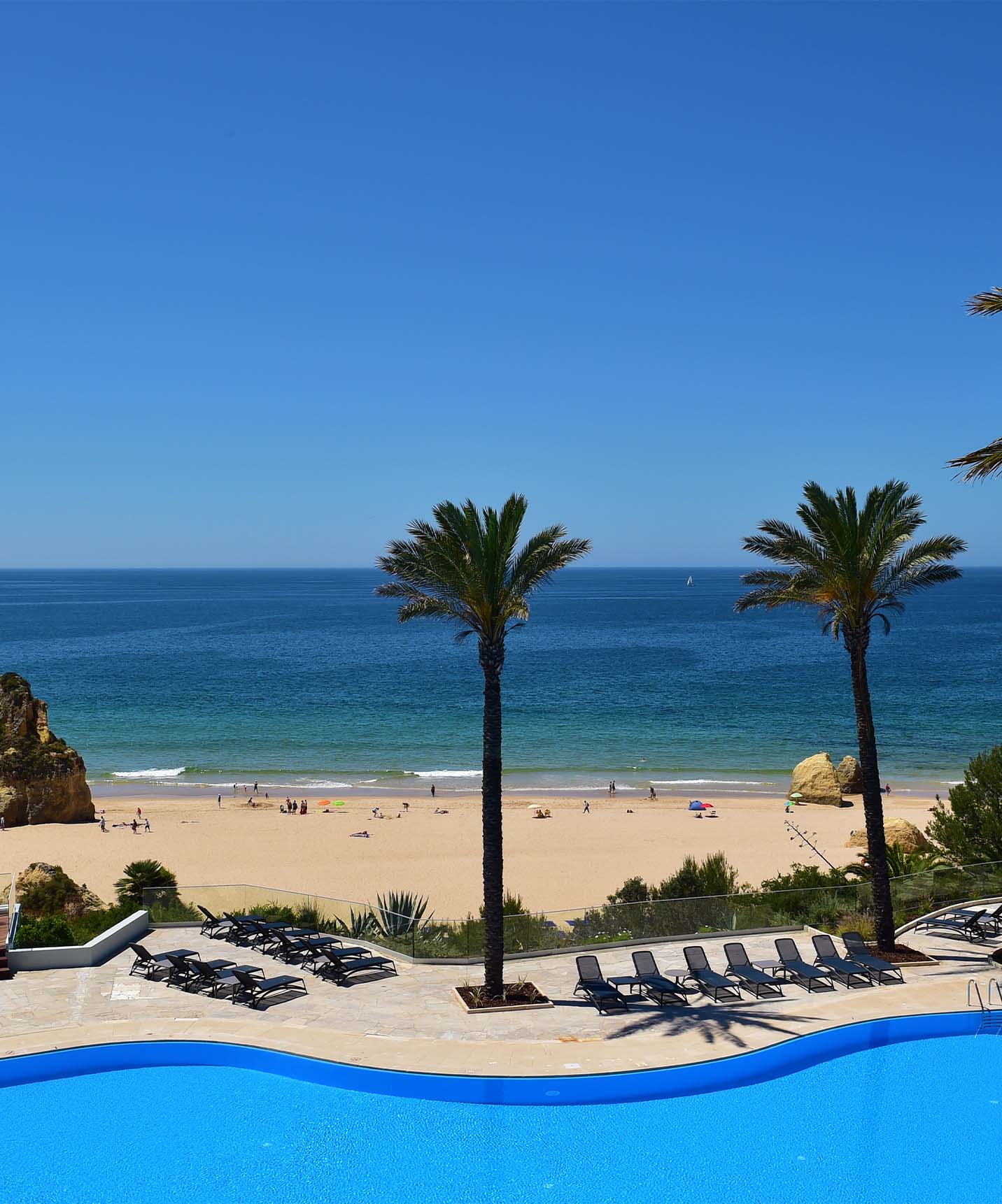 Außenpool mit Liegen, Palmen und Terrasse, Jacuzzi, Blick auf das Meer und den Strand und wolkenlosem Himmel