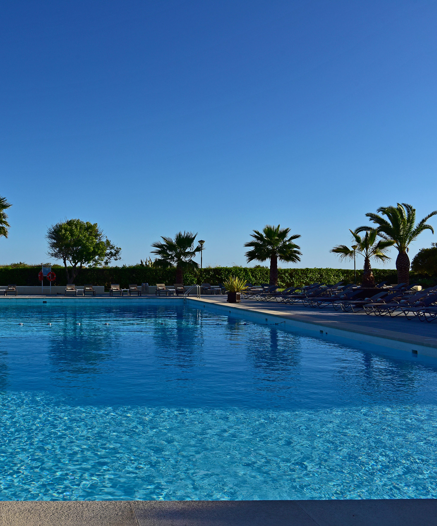 Außenpool mit Liegen, Palmen und Terrasse, Jacuzzi, Blick auf das Meer und den Strand und wolkenlosem Himmel