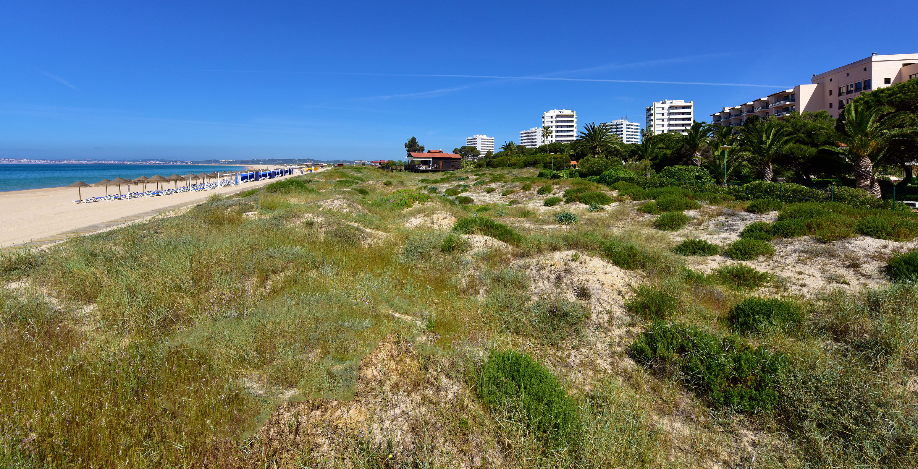 Blick auf die Düne des Pestana Dom João II, mit weißem Sandstrand, Liegen mit Sonnenschirmen und ruhigem Meer