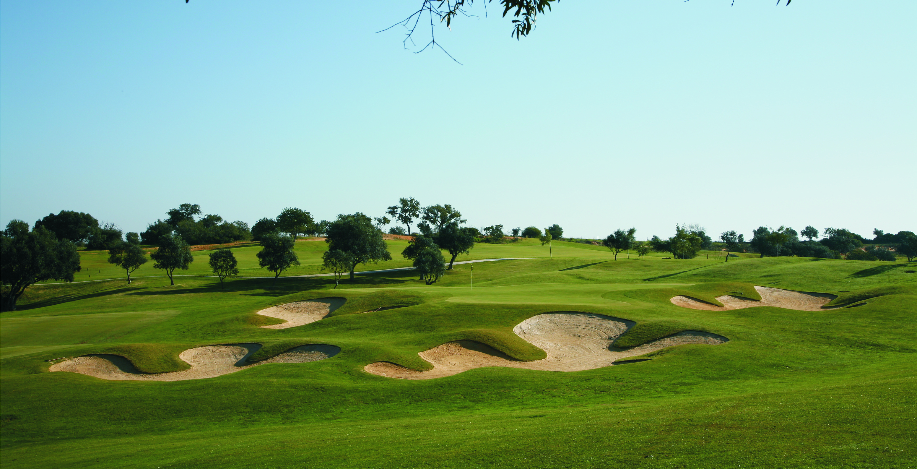 Golfplatz Vale da Pinta an einem Tag mit klarem blauen Himmel und Sonne, mit Olivenbäumen für Schatten