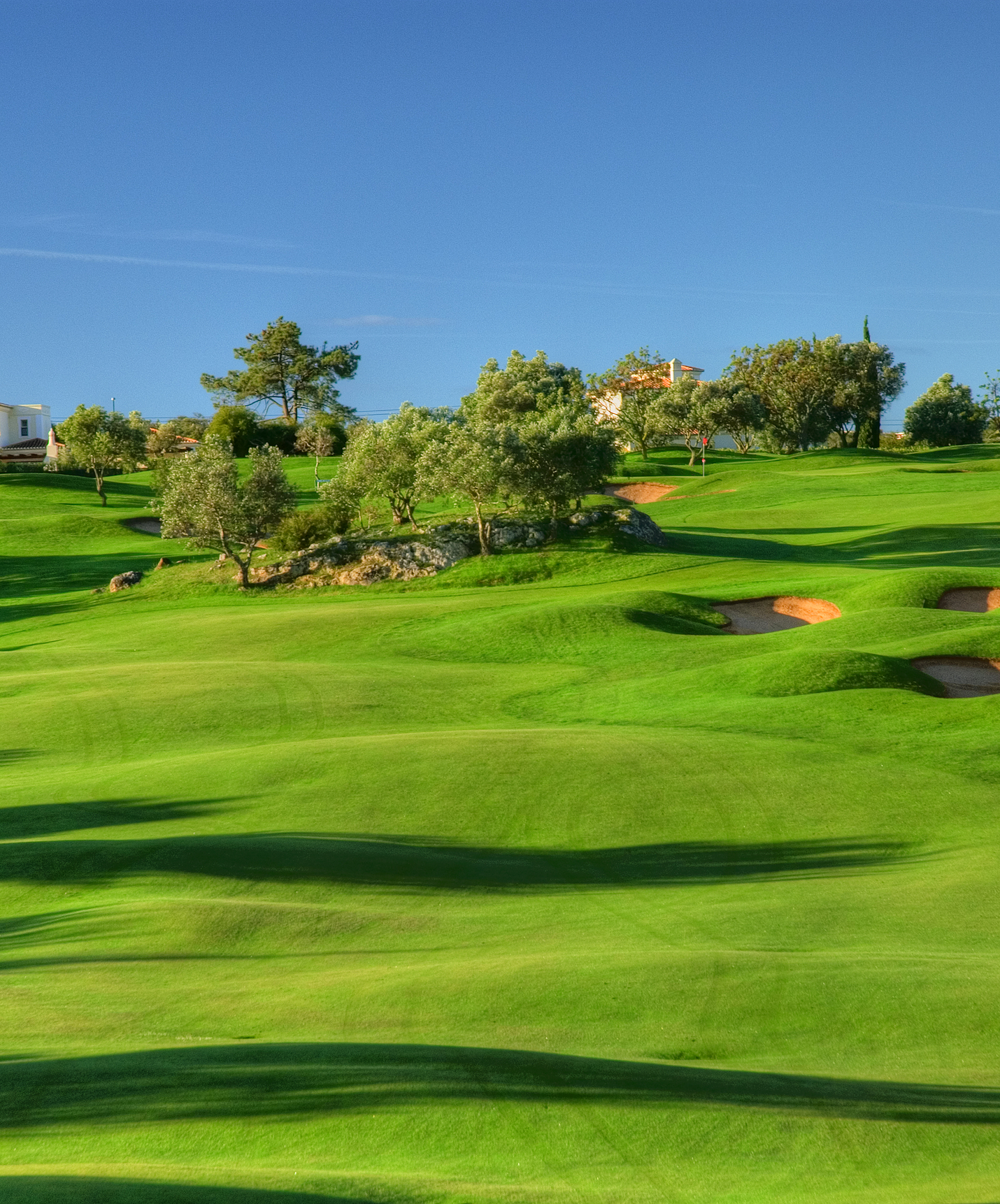 Grüner Golfplatz in Carvoeiro, in der Nähe des Pestana Palm Gardens, mit Sandlöchern und mehreren Bäumen