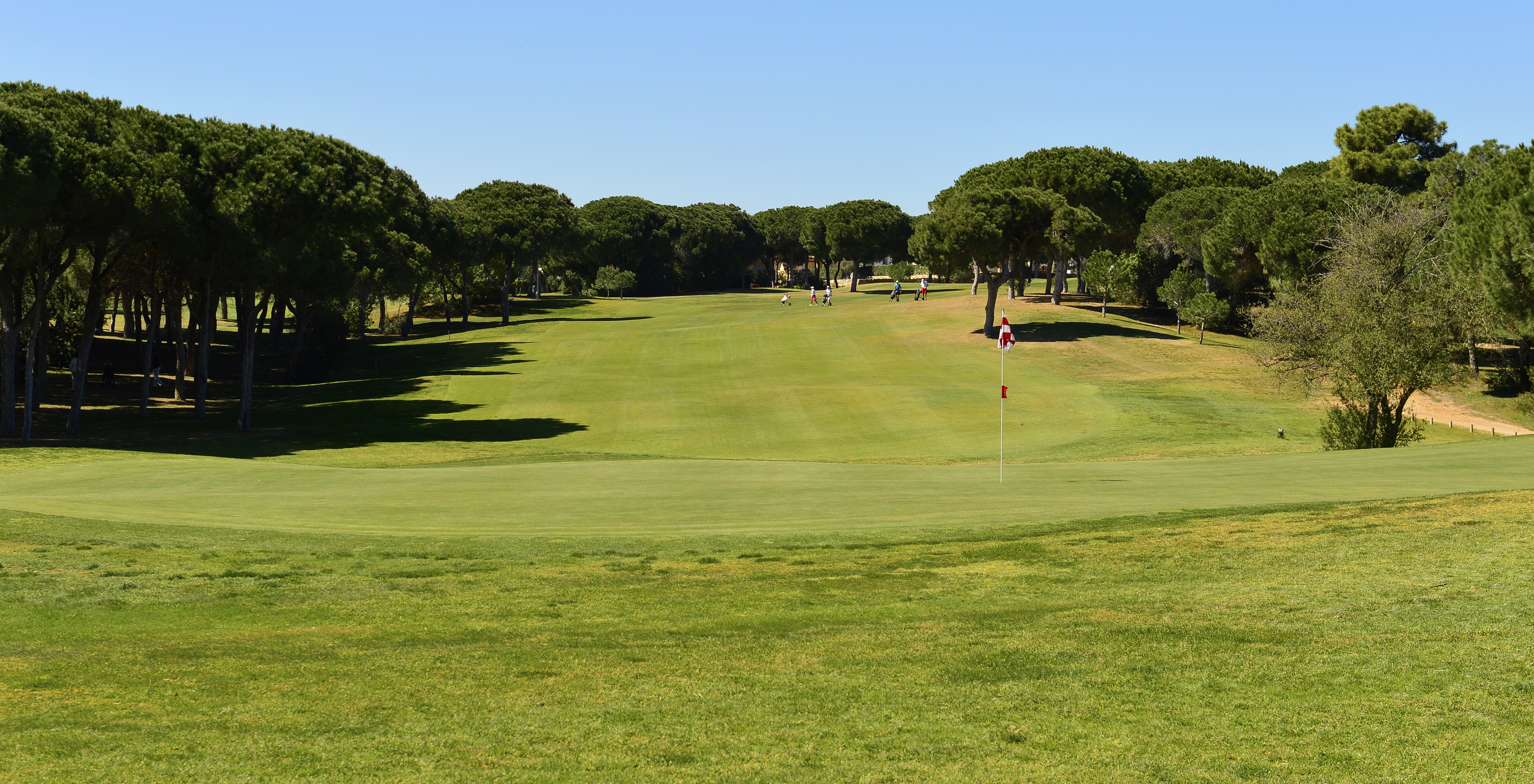 Grüner Golfplatz, Bäume und klarer blauer Himmel im Pestana Vila Sol - Vilamoura, Hotel mit Golf und Spa in Algarve