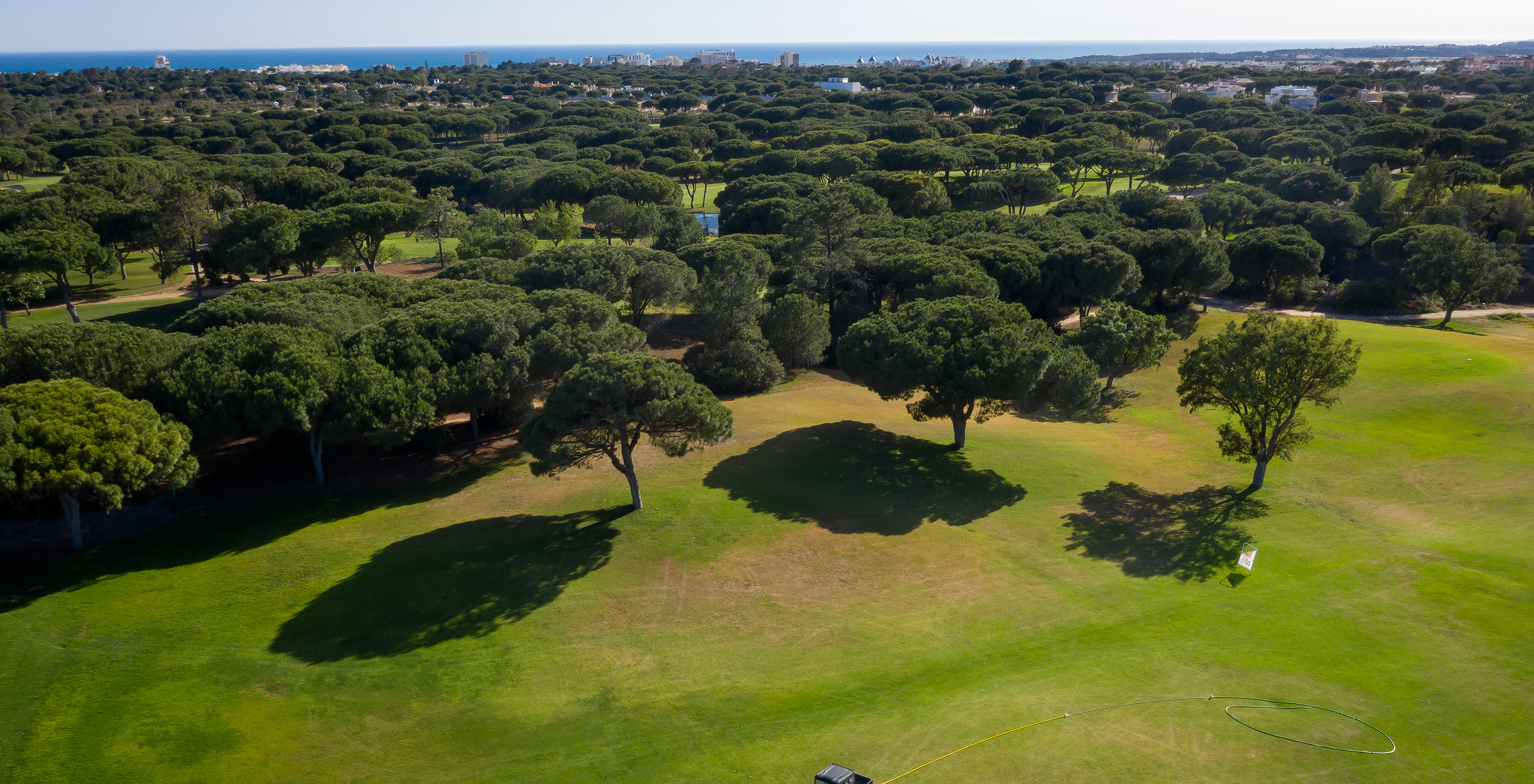 Grüner Golfplatz mit schattenspendenden Bäumen, klarem Himmel und dem Meer im Hintergrund, vom Pestana Vila Sol - Vilamoura