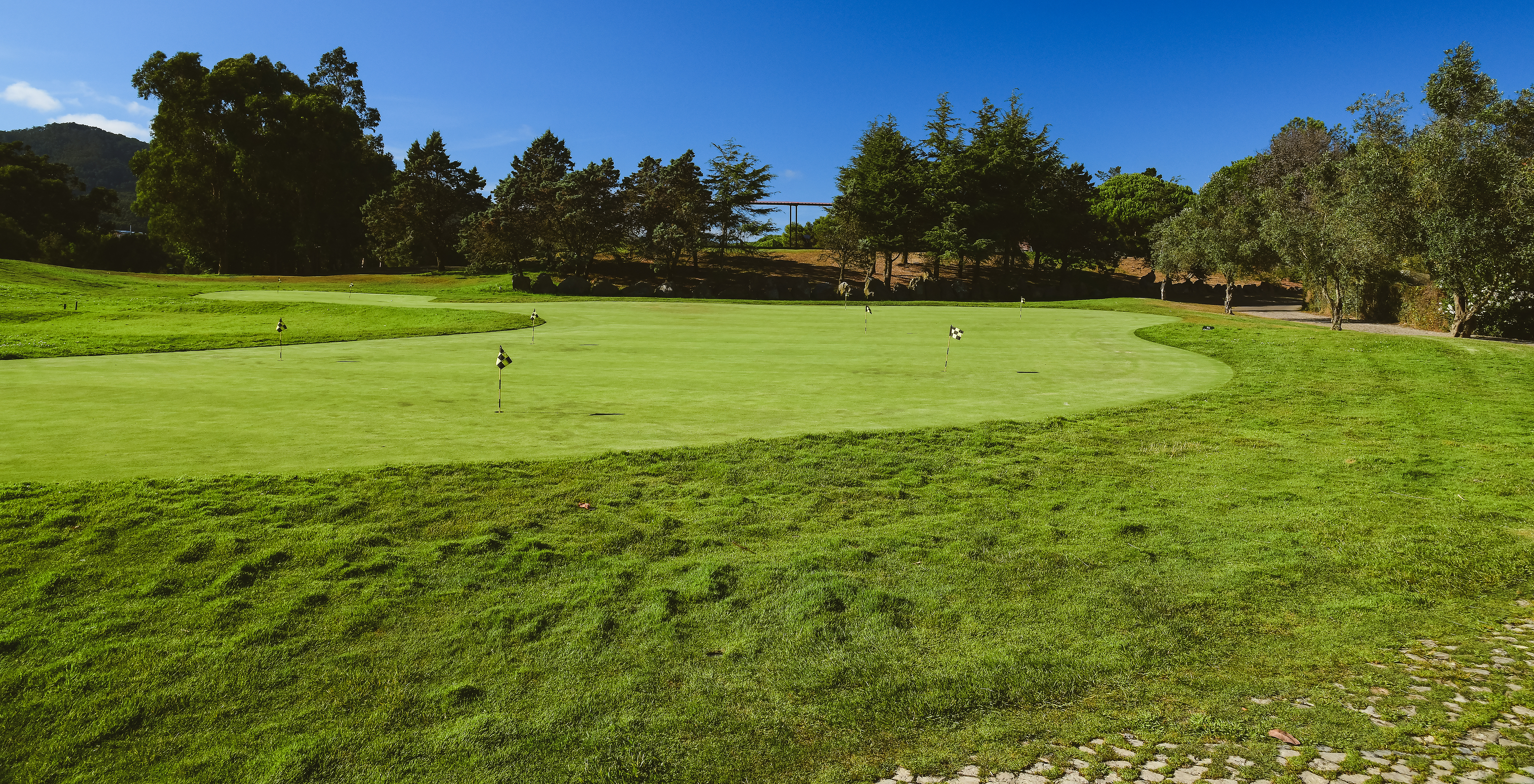 Golfplatz des Pestana Sintra Golf an einem sonnigen Tag mit blauem Himmel, mit Fahnen und Bäumen im Hintergrund