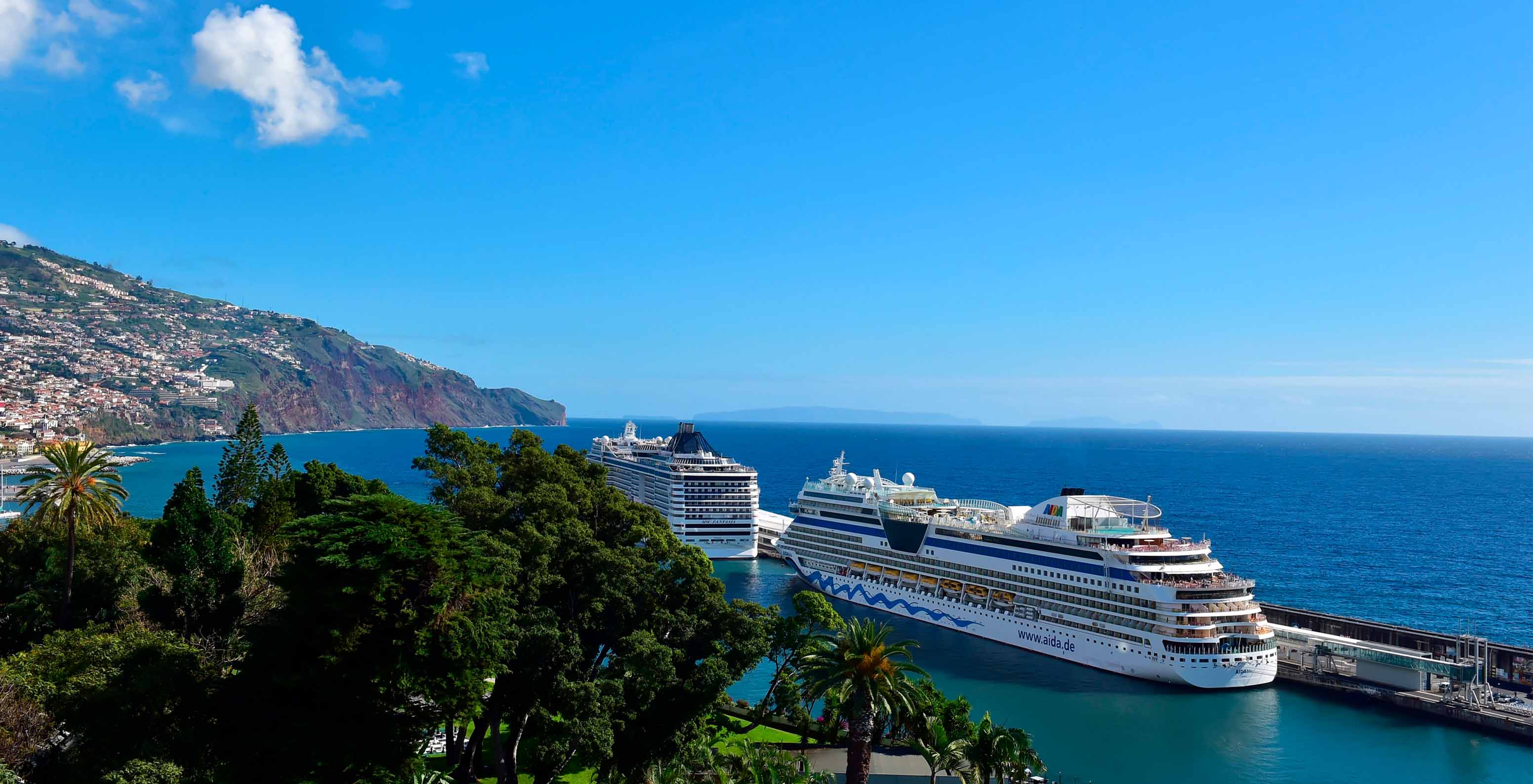 Blick auf zwei Kreuzfahrtschiffe, die im Meer vor dem Pestana Casino Park ankern, mit Vegetation im Vordergrund