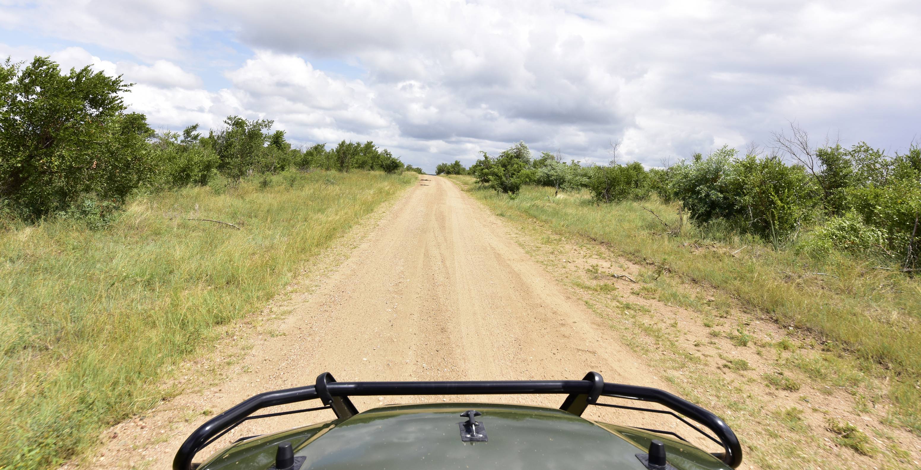 Safari im Kruger Park während des Aufenthalts im Pestana Kruger Lodge, Hotel mit Pool, nahe dem Kruger Park