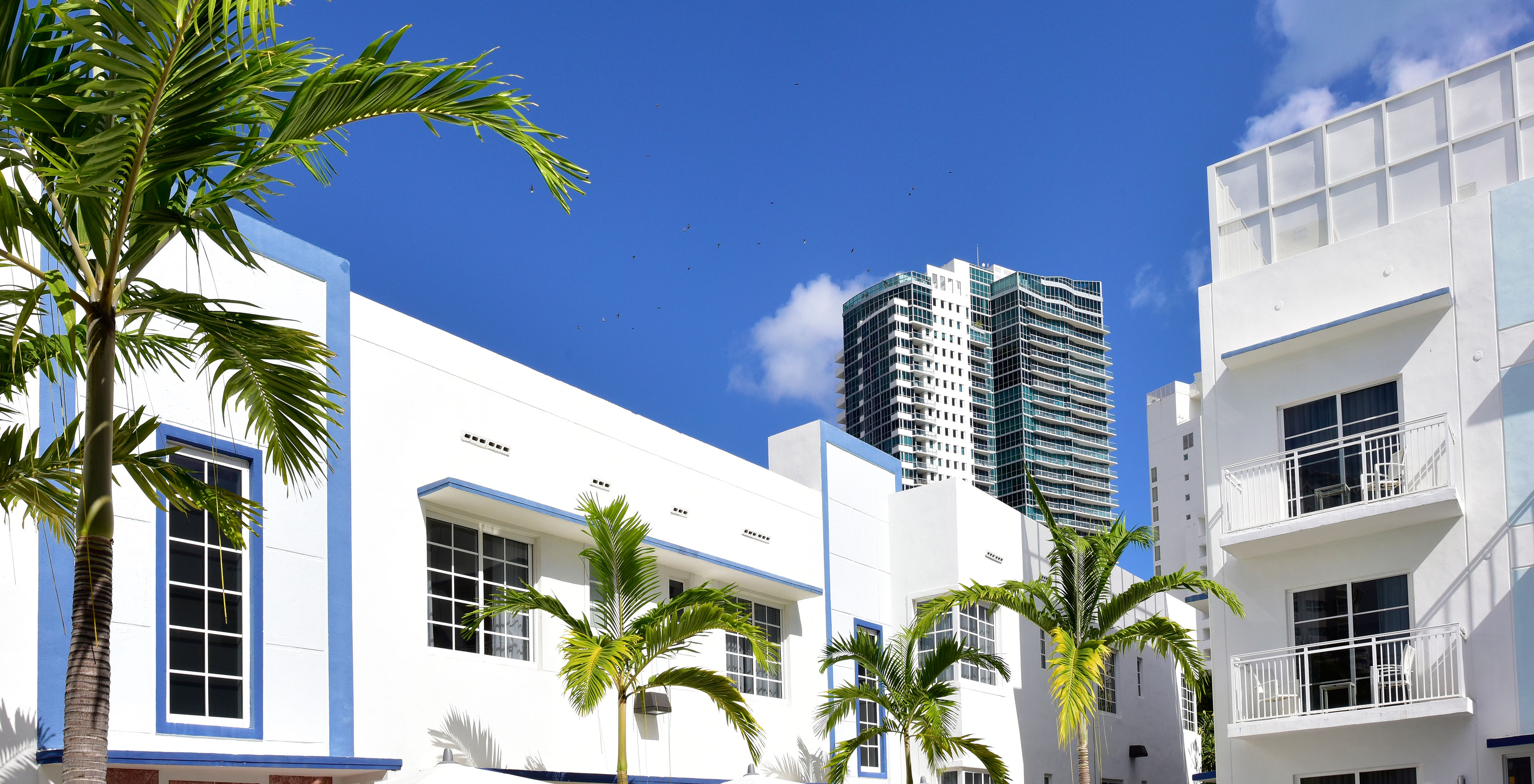 Außenansicht des Pestana Miami South Beach, mit weißer Fassade, Palmen und Wolkenkratzern