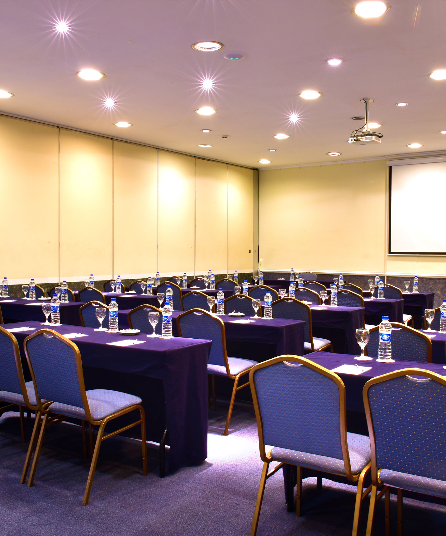 Pestana Buenos Aires, in the city center, has a meeting room with several chairs and a screen for presentations