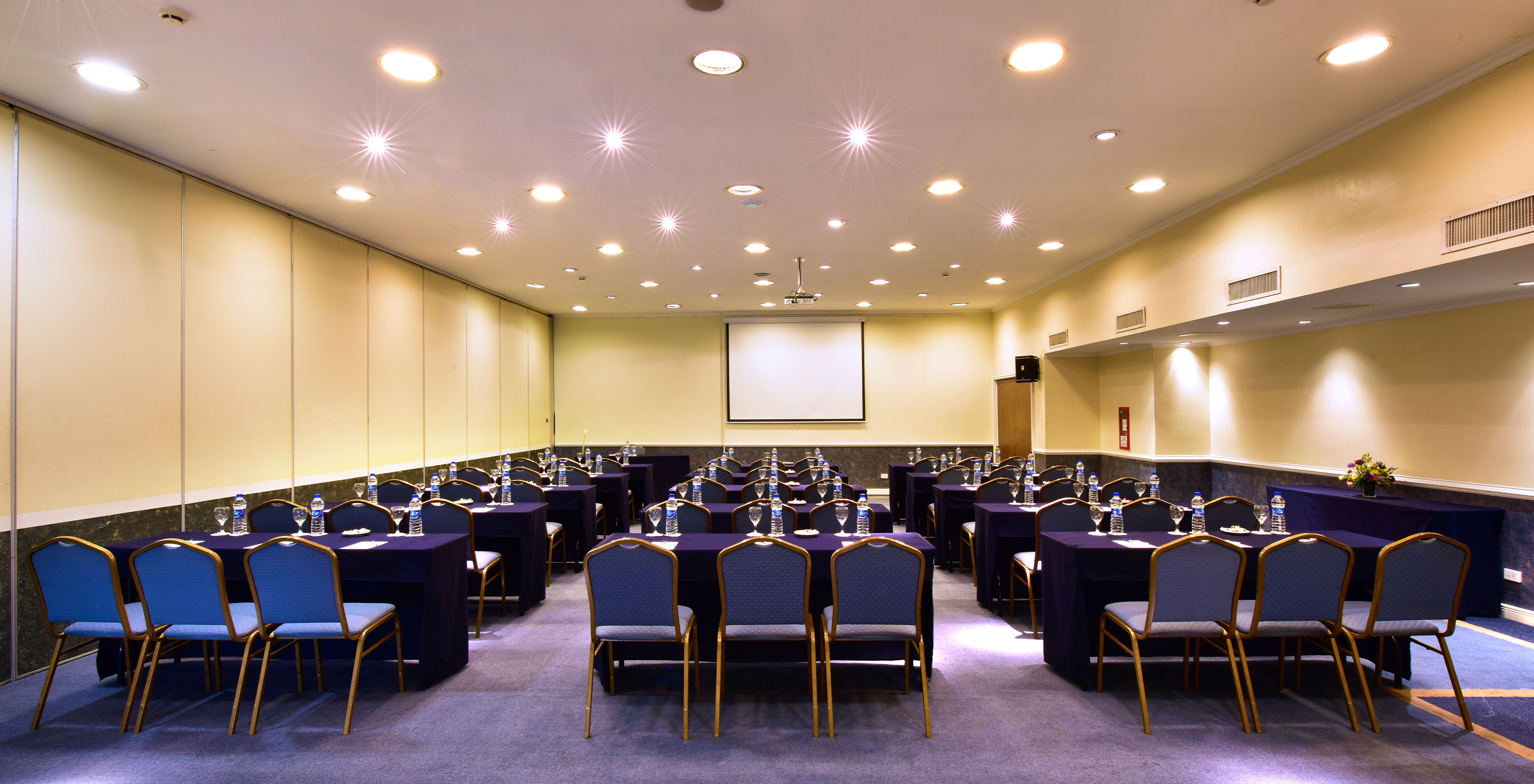 Pestana Buenos Aires, in the city center, has a meeting room with several chairs and a screen for presentations