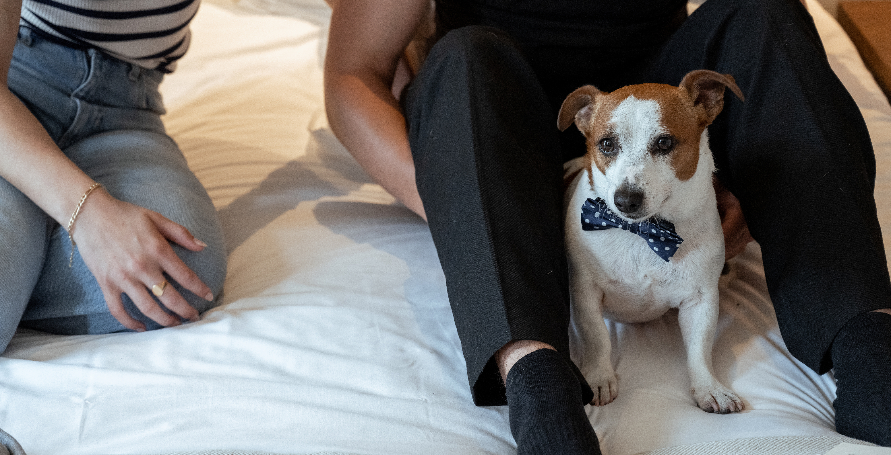 The Pestana Curitiba hotel near the Battel neighborhood is pet-friendly, so you can bring dogs to the hotel