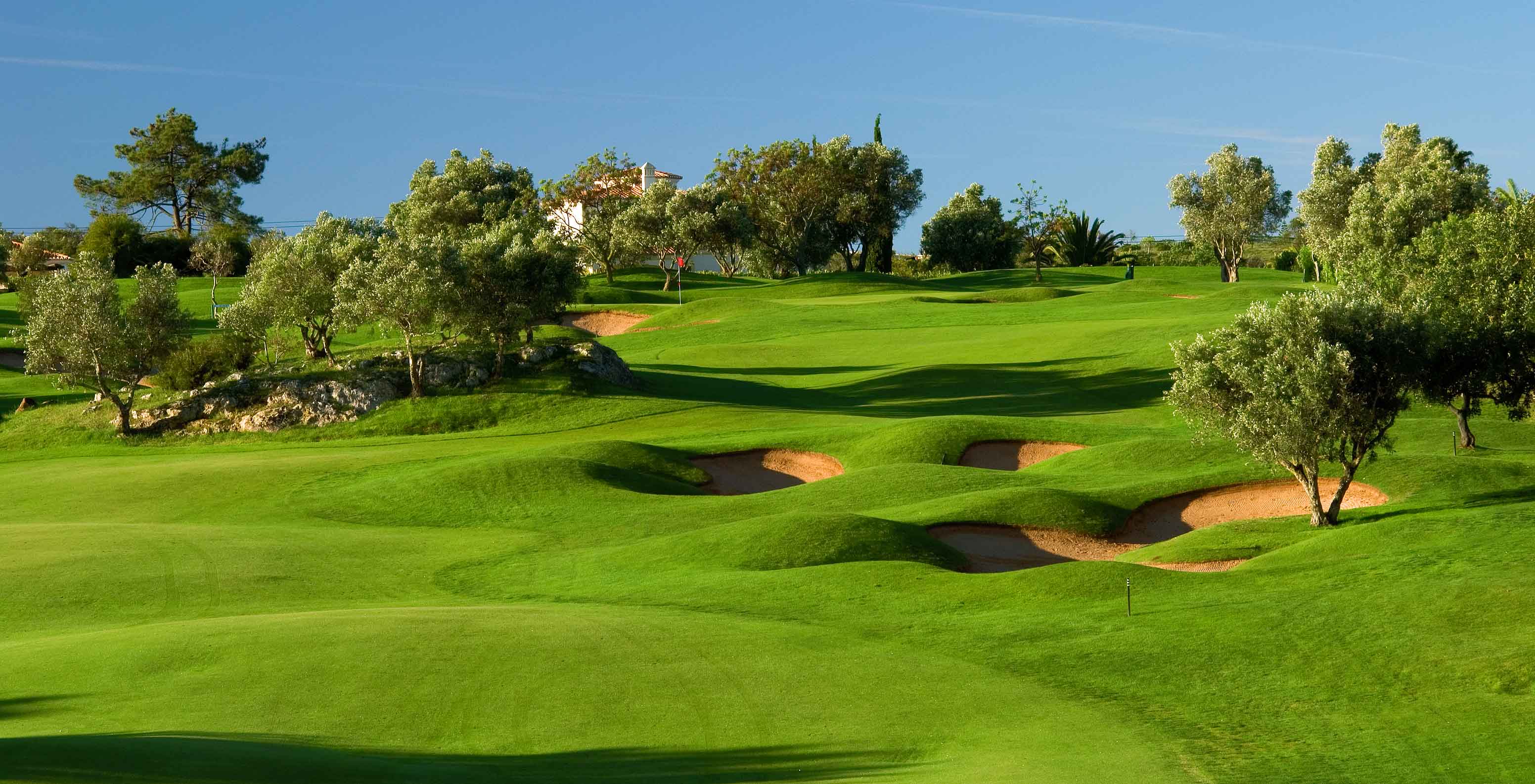 Green golf course, with a hole, one side, and several palm trees in the middle of the course, at Pestana Gramacho Residences