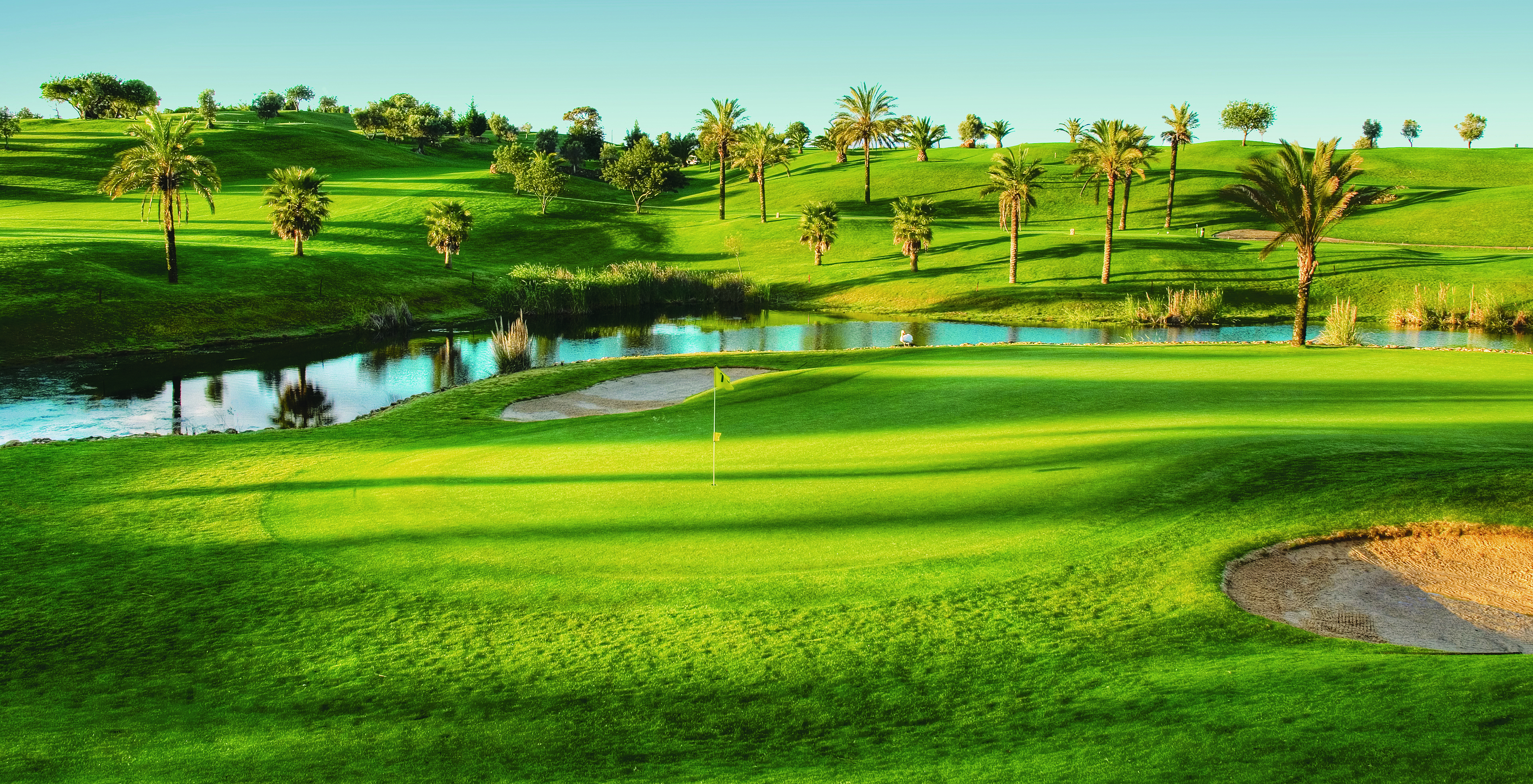 Green golf course with a hole, palm trees throughout, at Pestana Gramacho Residences