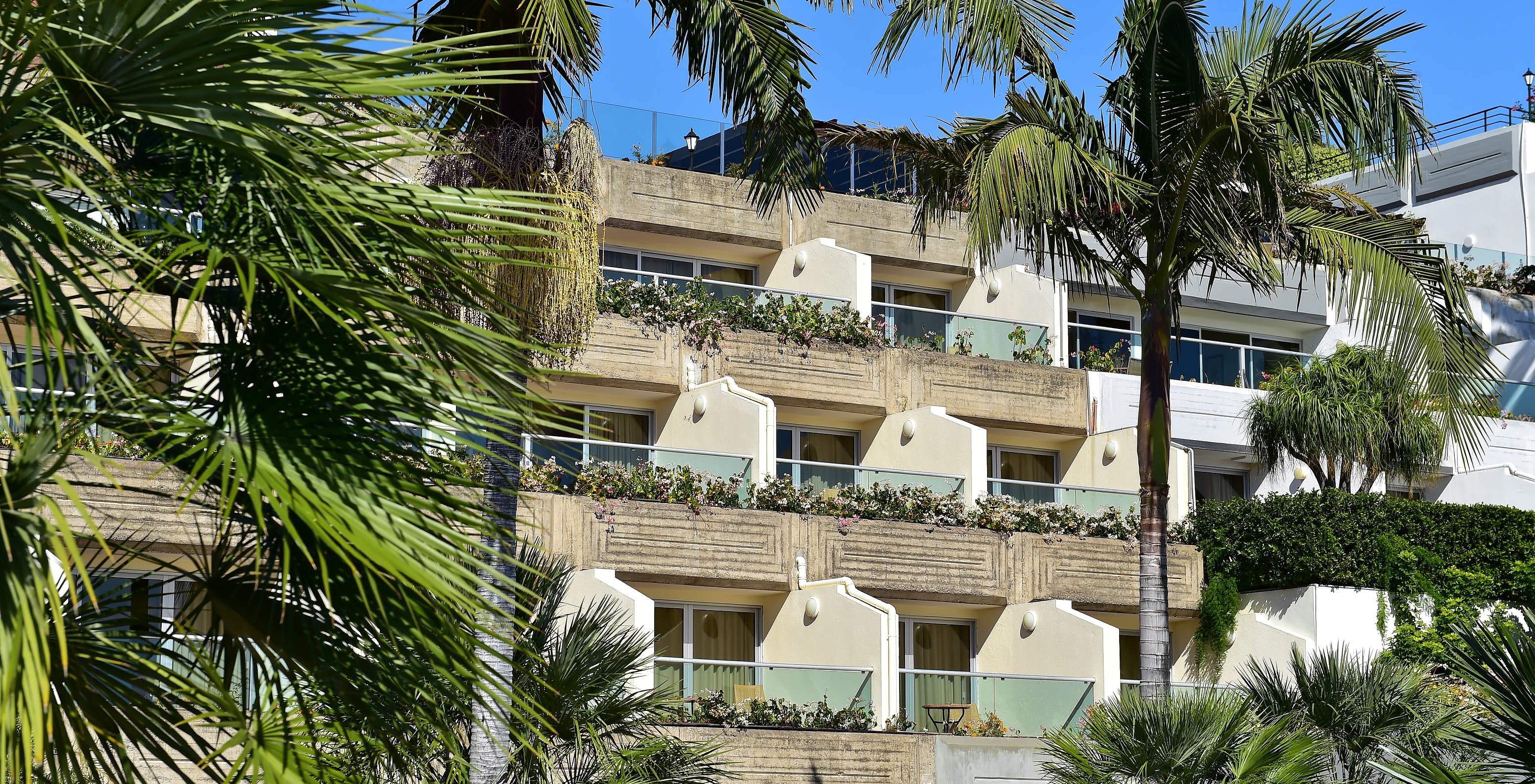 The Premium Resort with Spa and Pool, facing the sea, has rooms with balconies hidden among palm trees