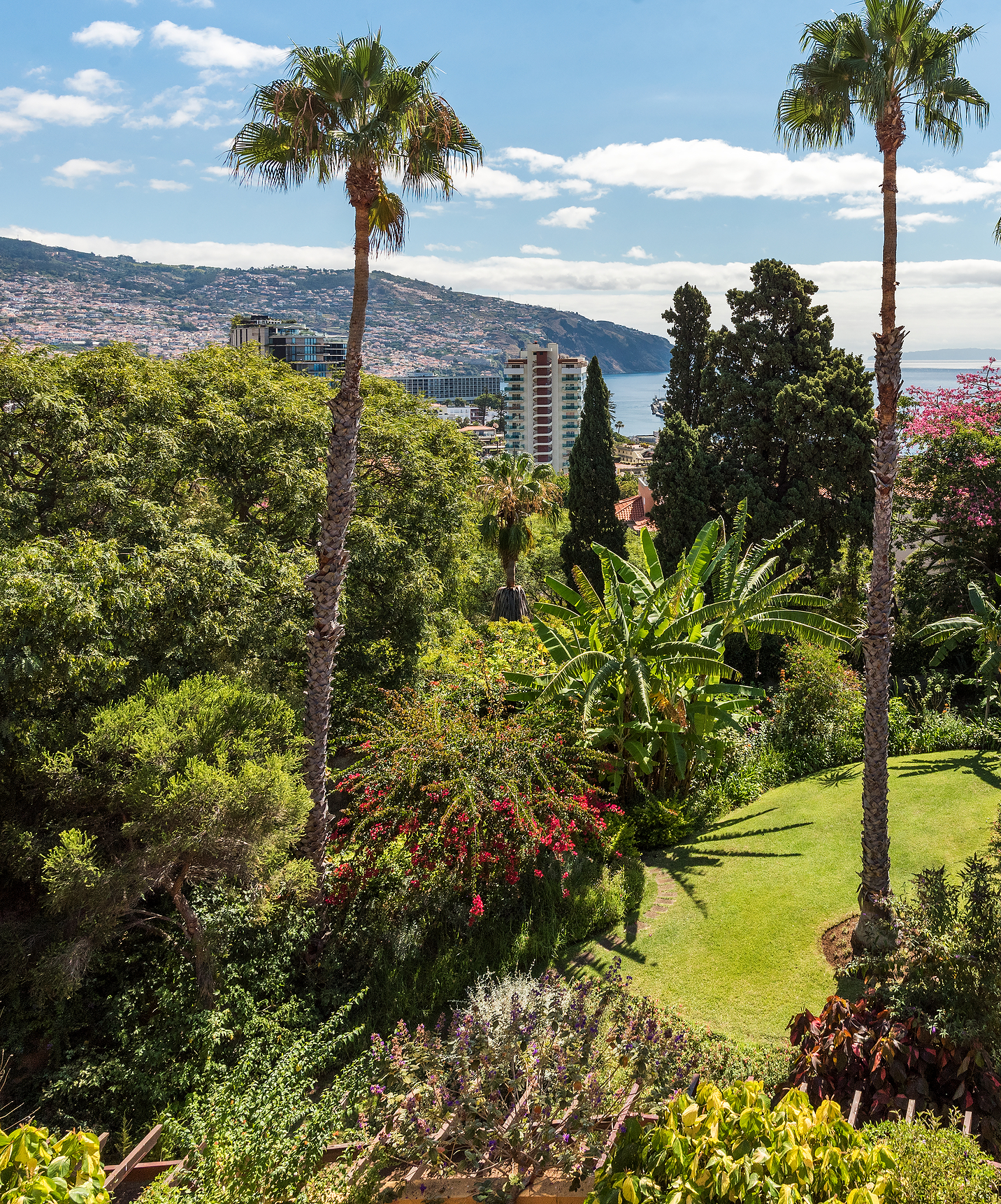 Aerial view of lush gardens with flowers and palm trees at Pestana Village, a Romantic Hotel in Funchal, Madeira