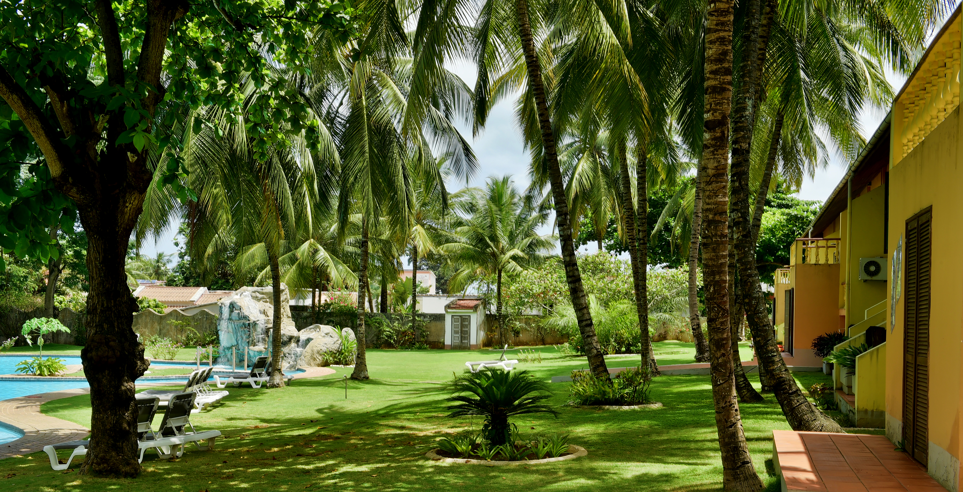 Garden of hotel with pool, beachfront on a sunny day, with green grass and palm trees