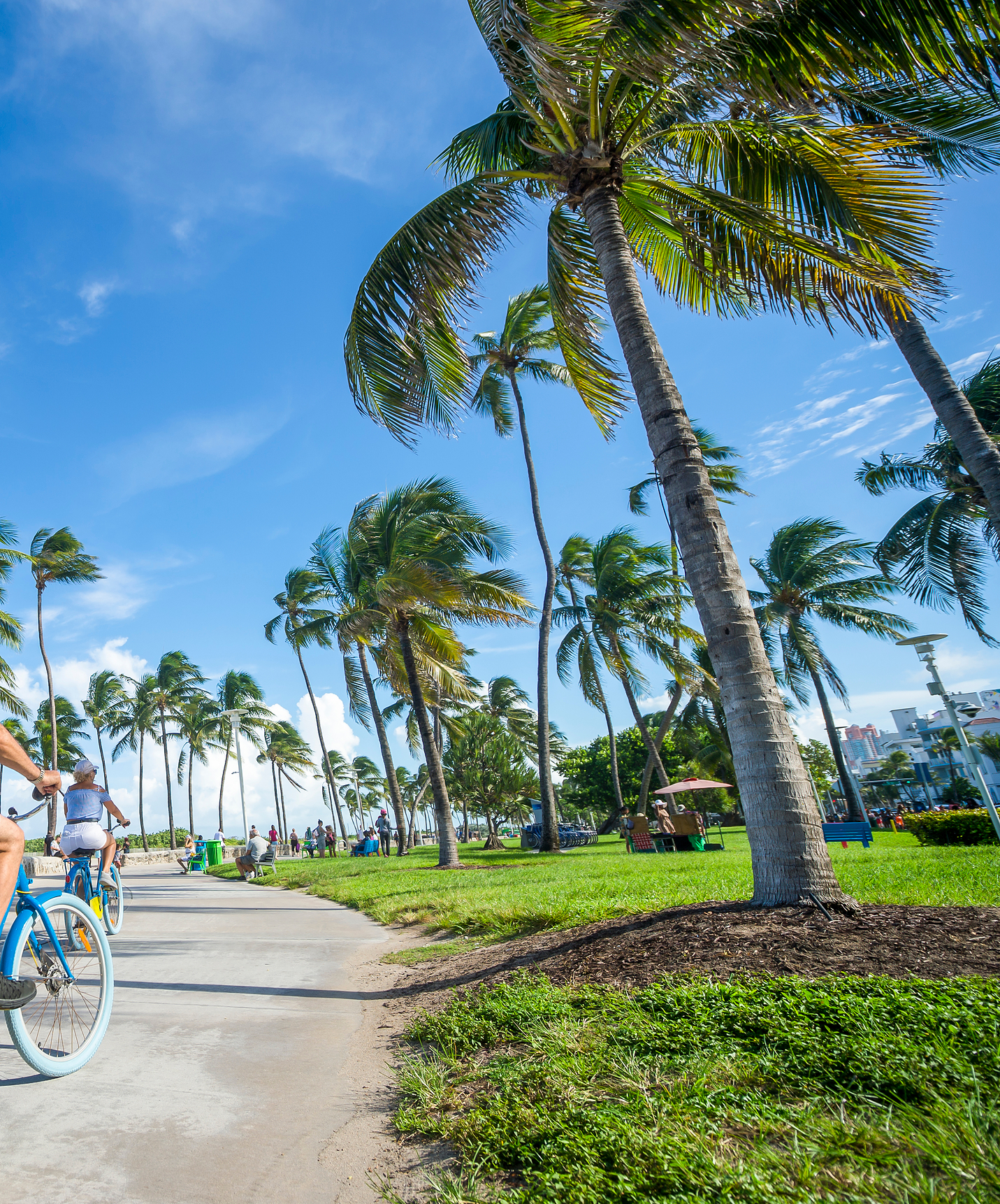 People biking on a bike path in Miami, surrounded by palm trees and people on the grass