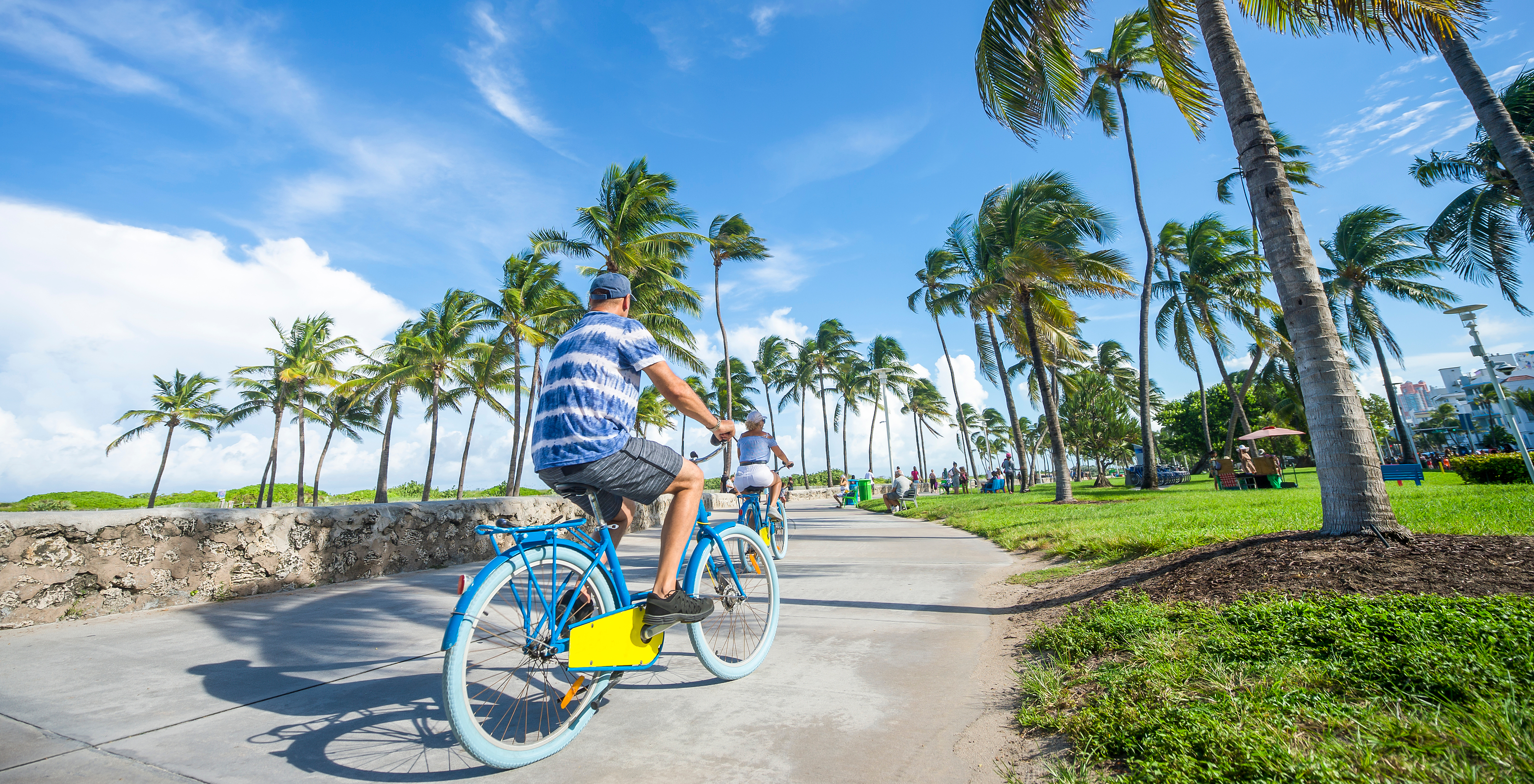 People riding bicycles on a bike lane in Miami, surrounded by palm trees and people on the grass