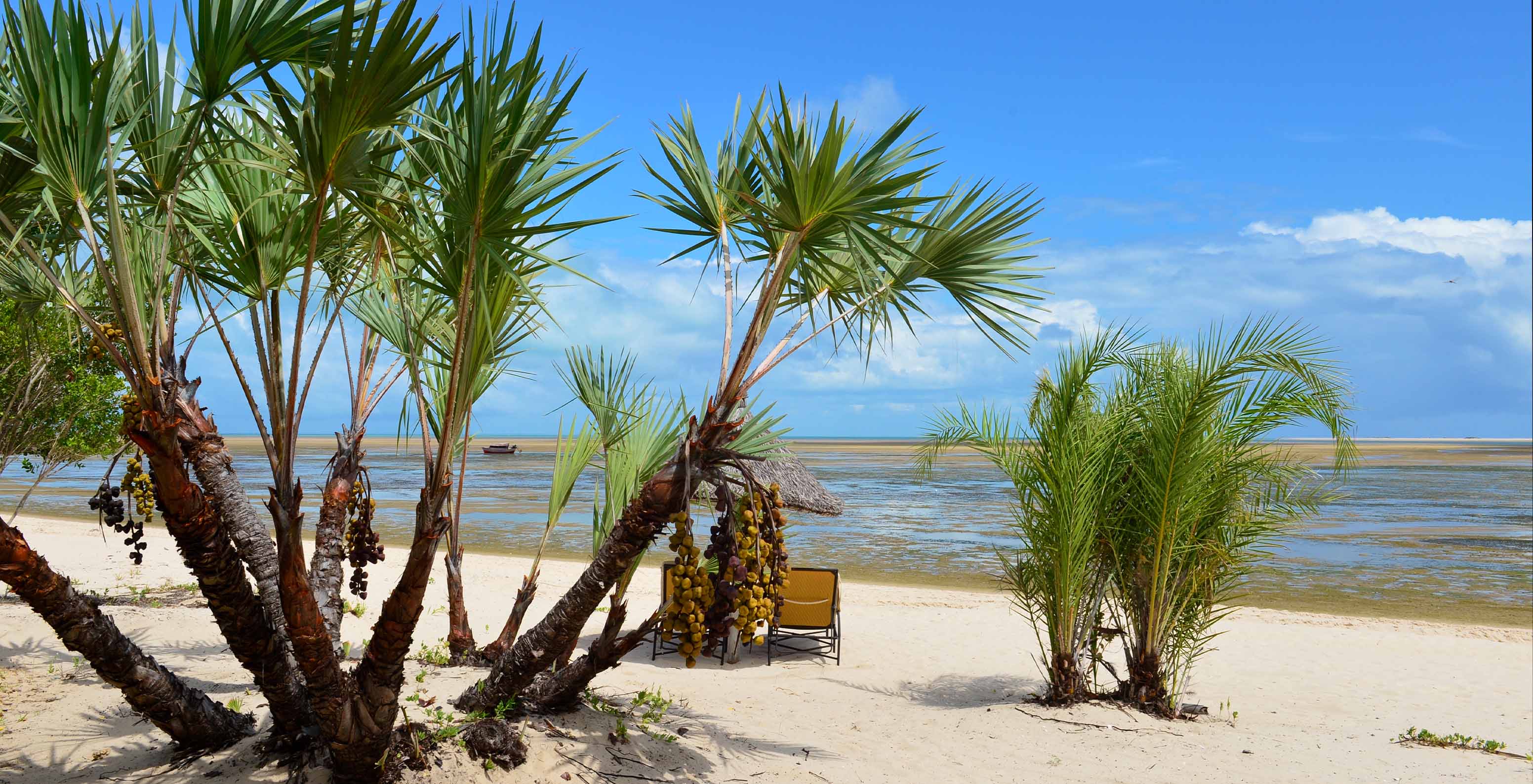 Bazaruto Island beach with palm trees, straw umbrella, two chairs