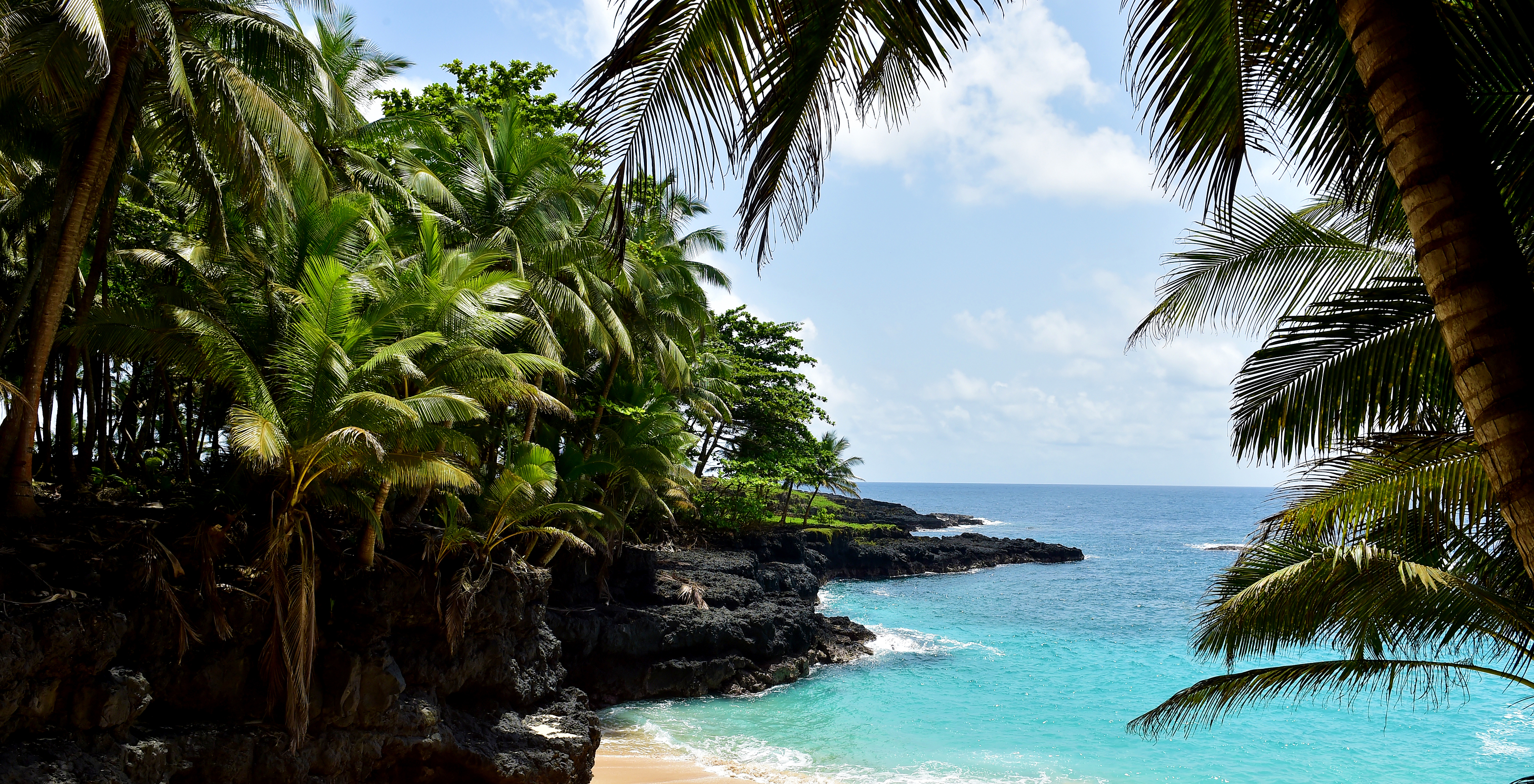 Ilhéu das Rolas beach with dense tropical vegetation, golden sand, and crystal-clear water