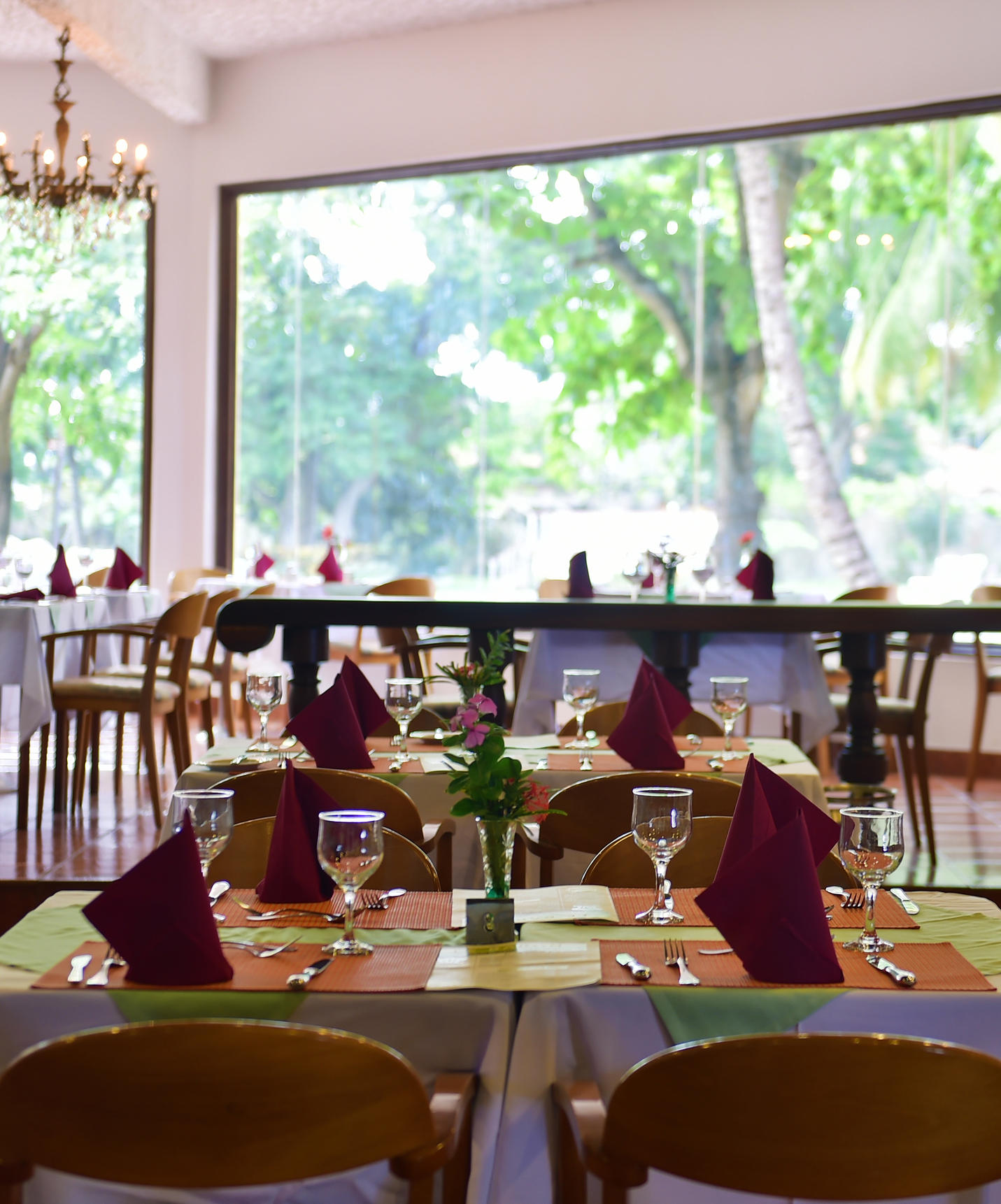 Hotel restaurant with a pool, facing the beach, featuring large windows with natural light and views of the garden trees