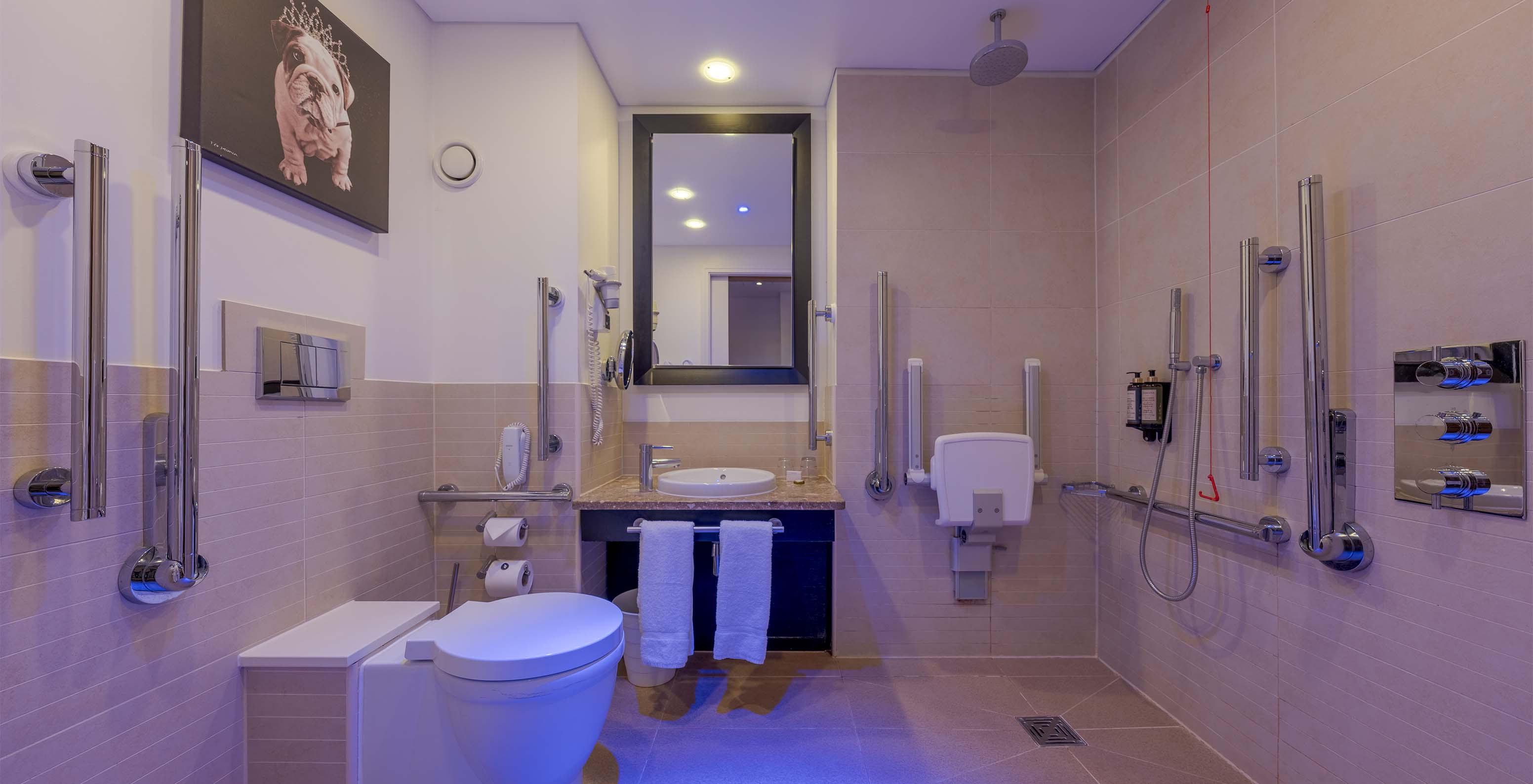 The Standard Room for Reduced Mobility at Pestana Chelsea Bridge has an accessible bathroom with a shower and sink