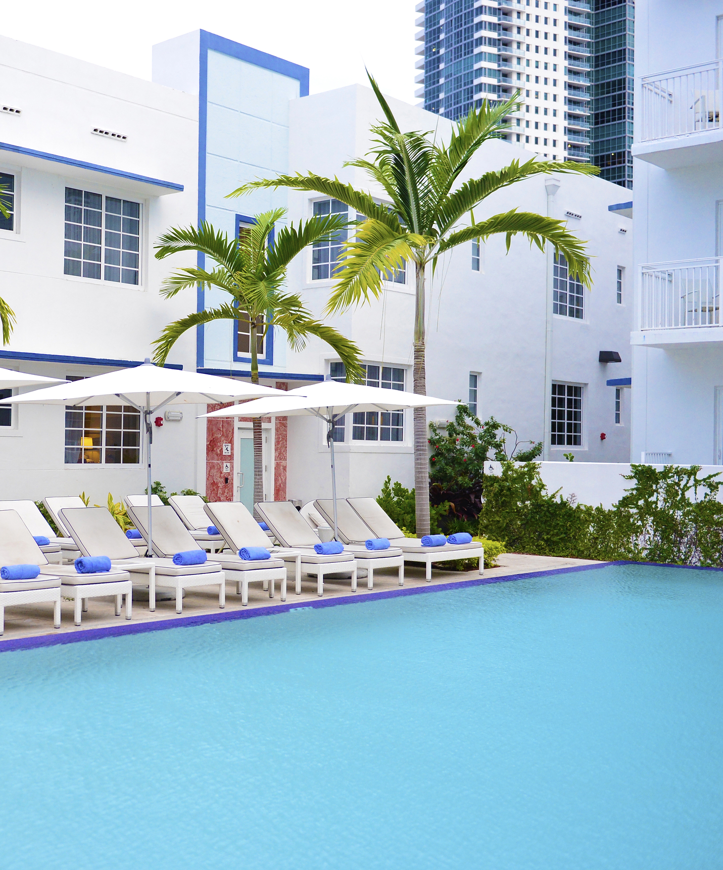 Outdoor pool at a boutique hotel in Miami, with sun loungers, umbrellas, palm trees, and the hotel in the background