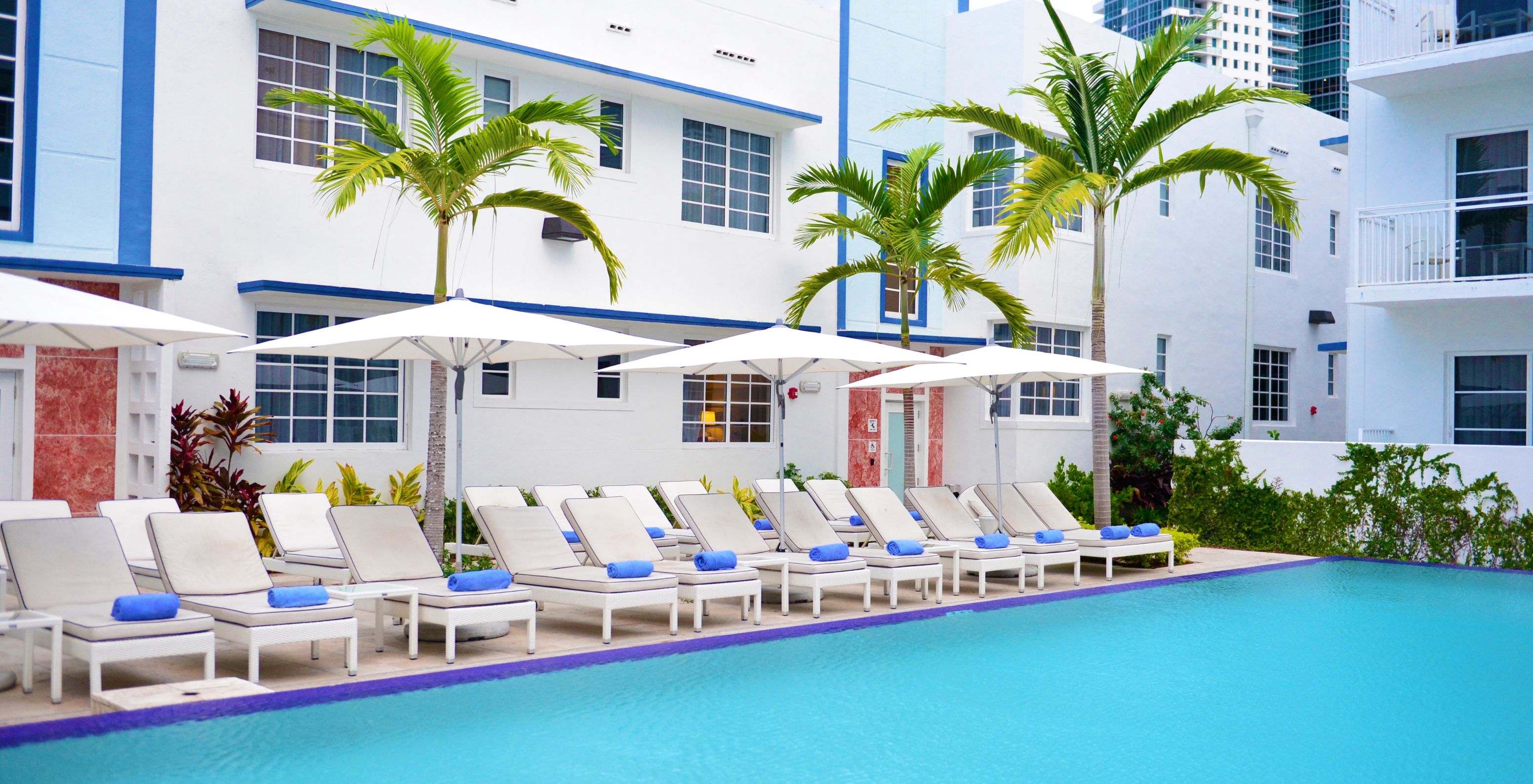 Outdoor pool at a boutique hotel in Miami with loungers, umbrellas, palm trees, and hotel in the background