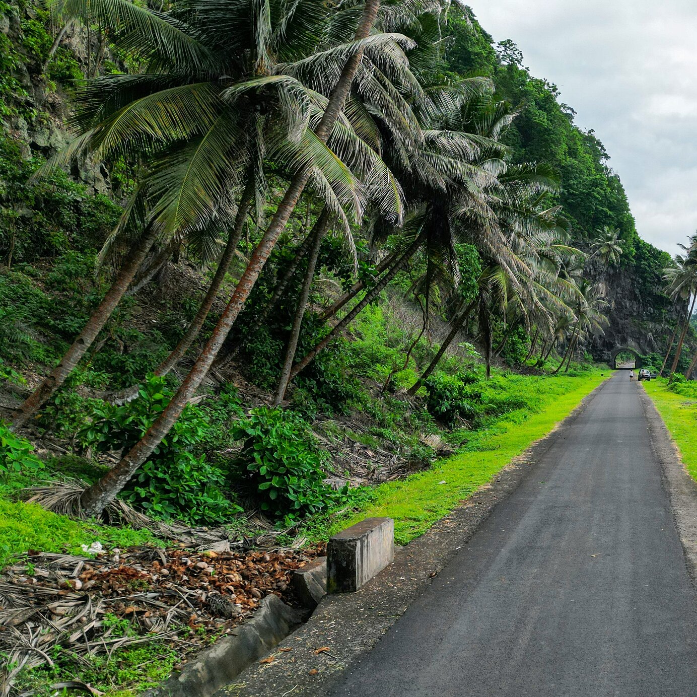 Viaje por carretera por São Tomé y Príncipe Hospédese en un hotel Pestana y explore São Tomé y Príncipe en coche, en sus carreteras junto al mar, rodeadas de vegetación.