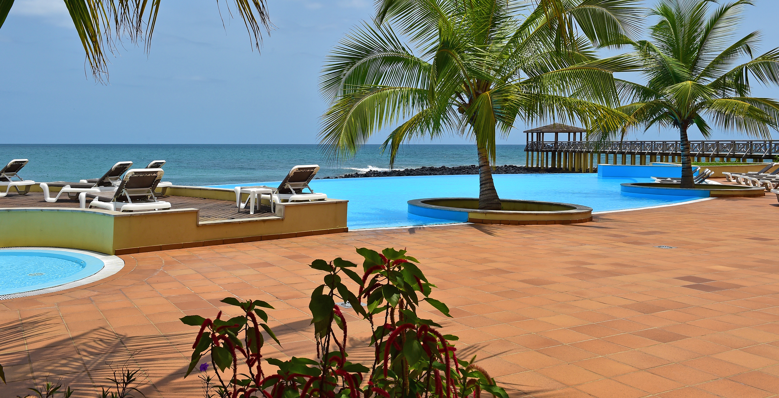 Zona de las piscinas y tumbonas con las palmeras creando un ambiente tropical y el muelle al fondo