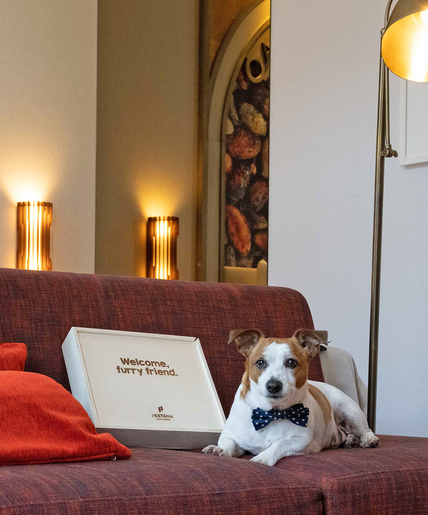 O Pestana Vintage Porto es un hotel que admite mascotas donde los perros pueden relajarse en la habitación