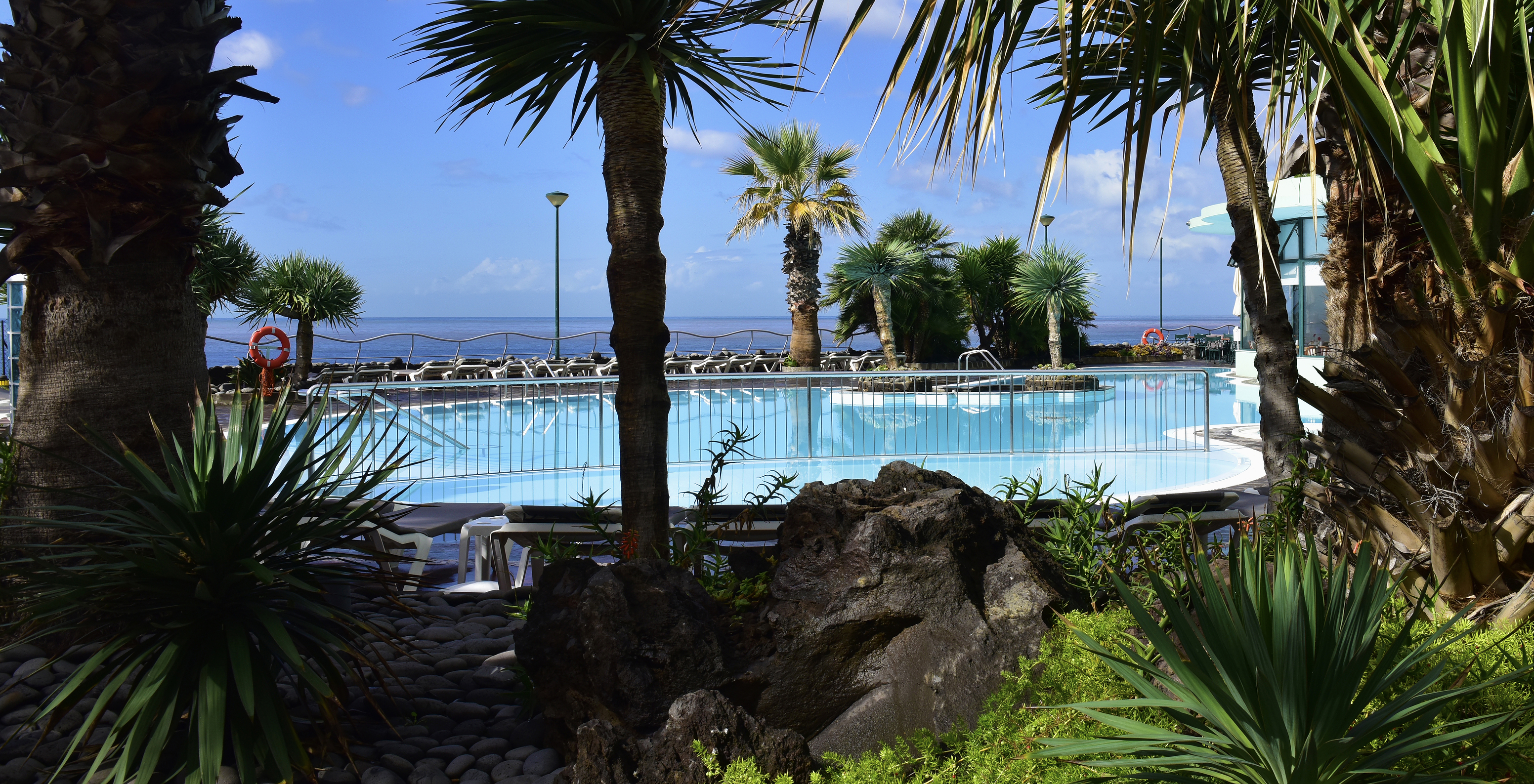 Vista entre los árboles de la piscina exterior del Pestana Ocean Bay, un Hotel Todo Incluido frente al mar, con piscina