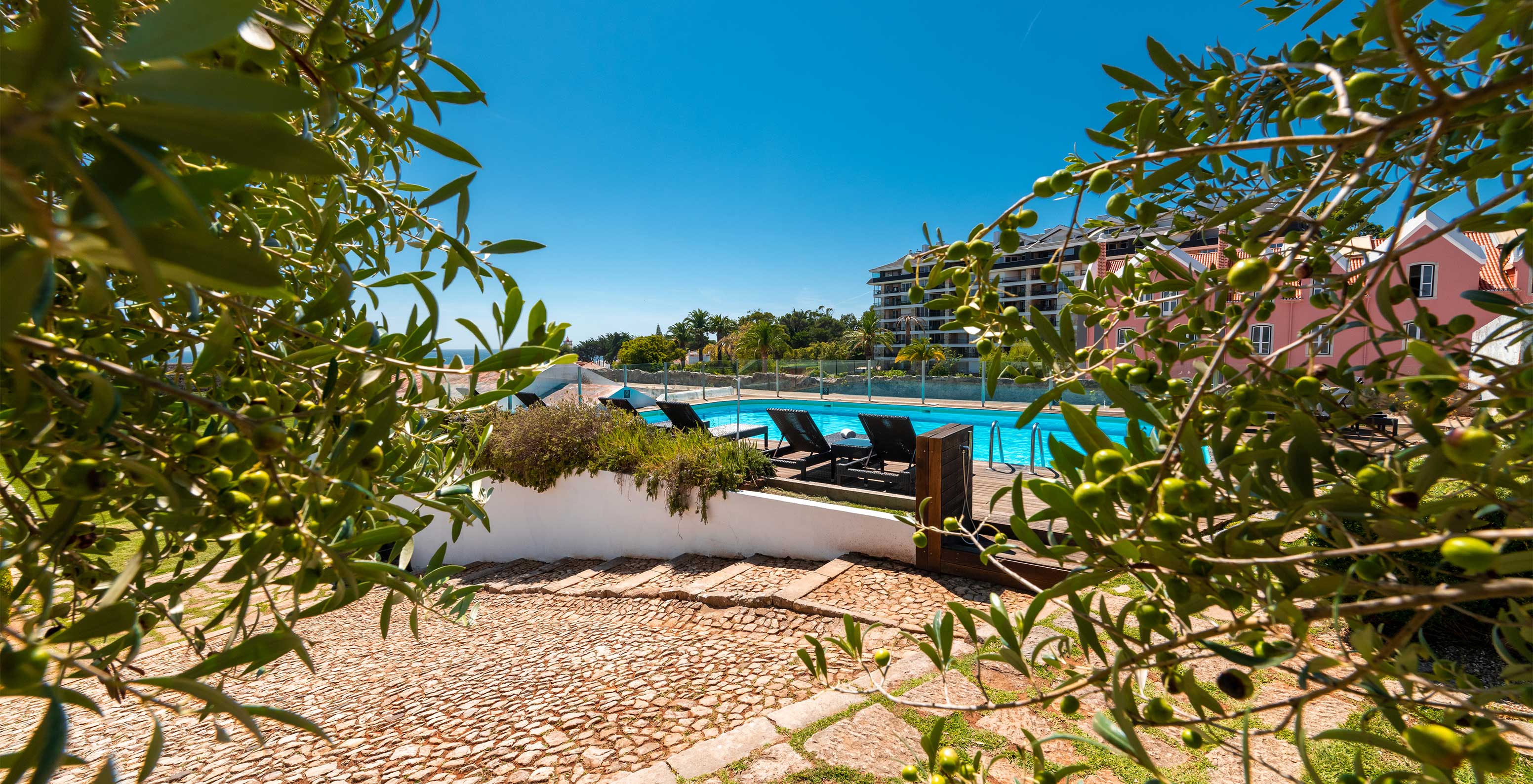 Buiten zwembad van 5-sterrenhotel in Cascais, met bomen, ligstoelen en uitzicht op zee