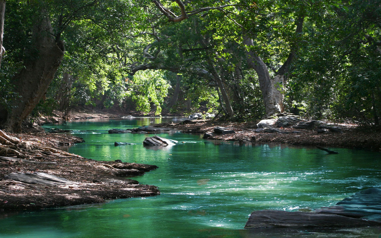Nature Hotels at Pestana Hotel Group Discover Nature Hotels at Pestana Hotel Group, surrounded by nature to explore on your holiday